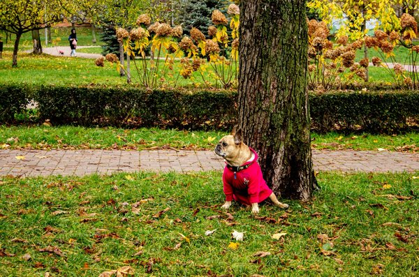 How Does Brexit Affect Healthcare Access in the UK?